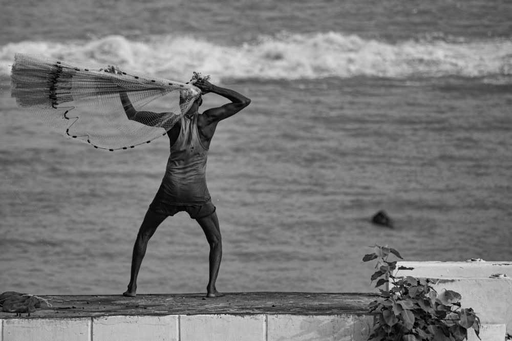 Fulfilling the feast through fishing