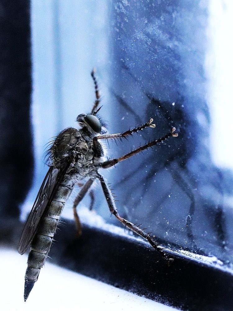 Photograph by Olga Asson