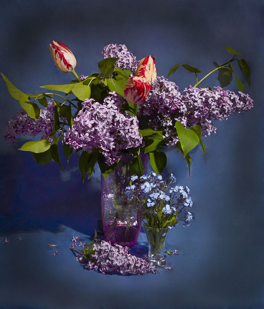 Photograph by Анатолий Васильев