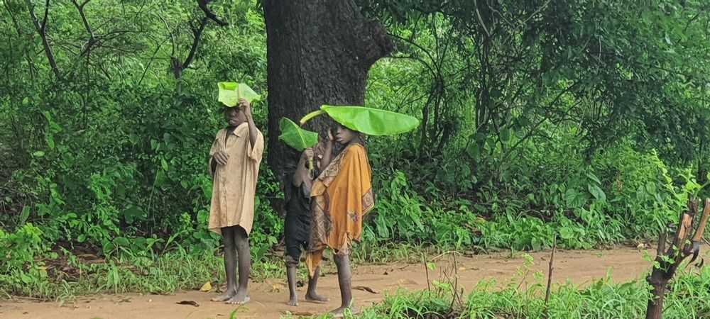 Photograph by Evan Landmann