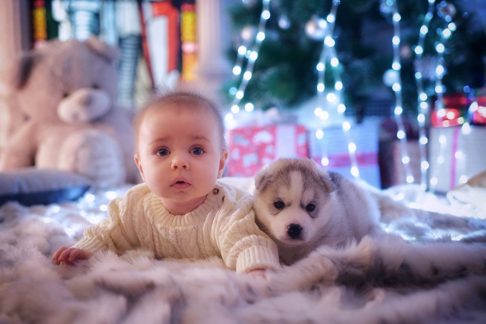 Photograph by Вячеслав Ивахненко