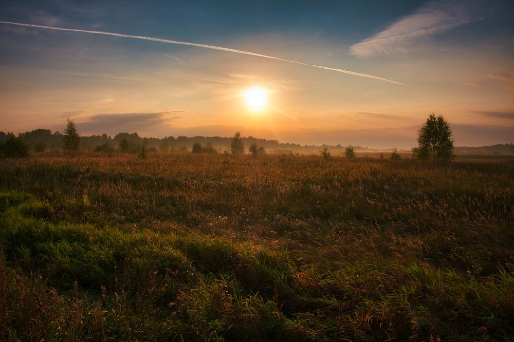 Сельское утро