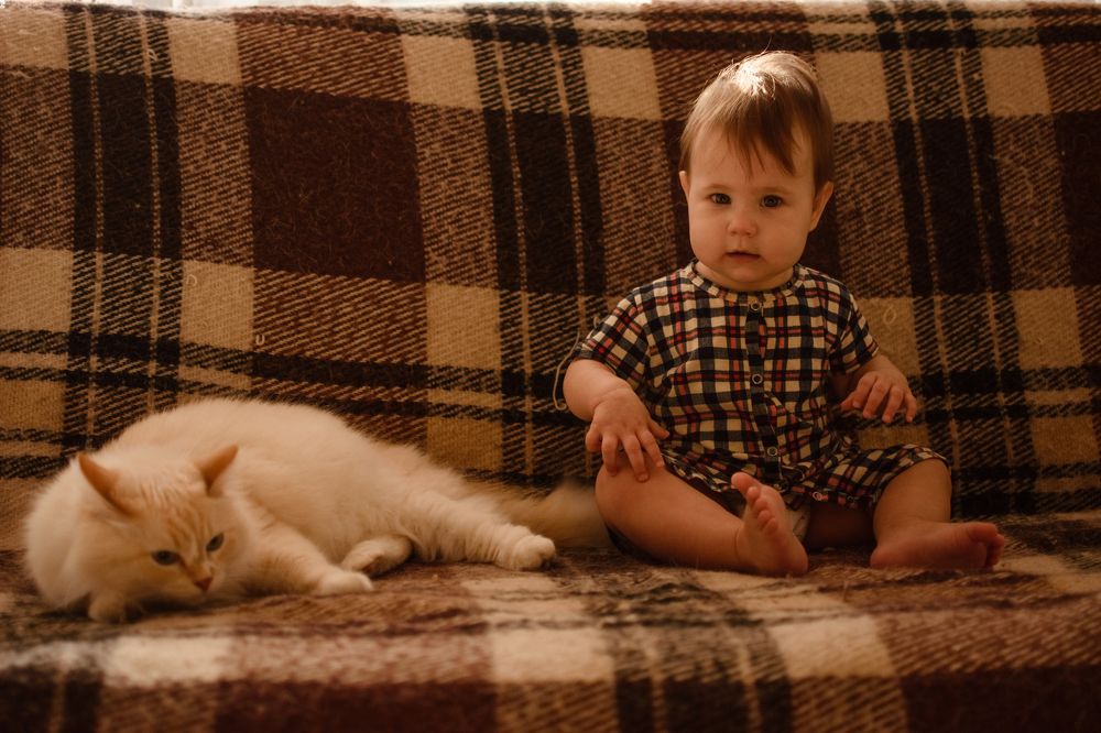 Photograph by Шепот Алена