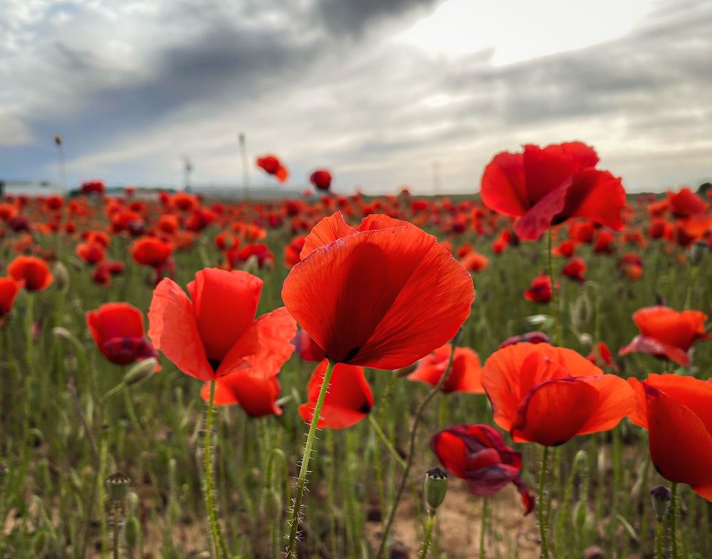 Photograph by Ana Gonzalez