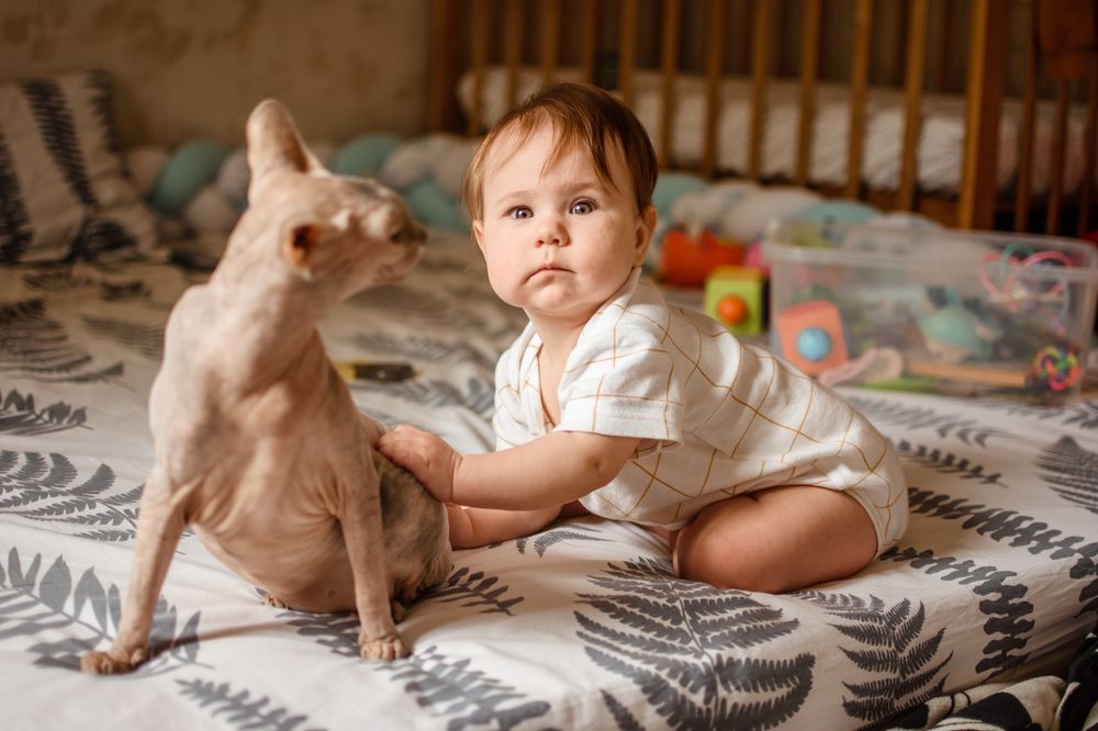 Photograph by Шепот Алена