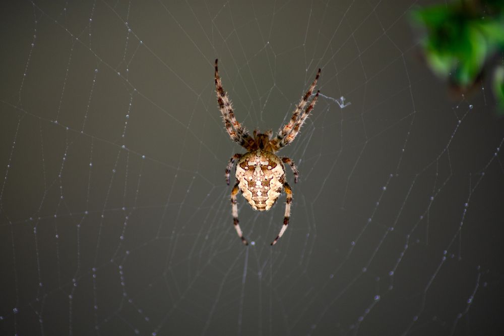 Photograph by Vitalii Kaznin