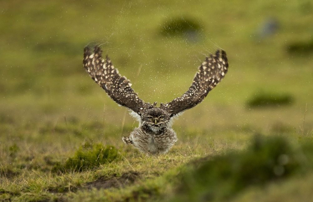 Photo at the right time