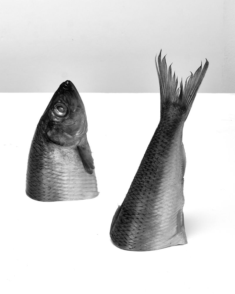 Photograph by Анна Дубровина