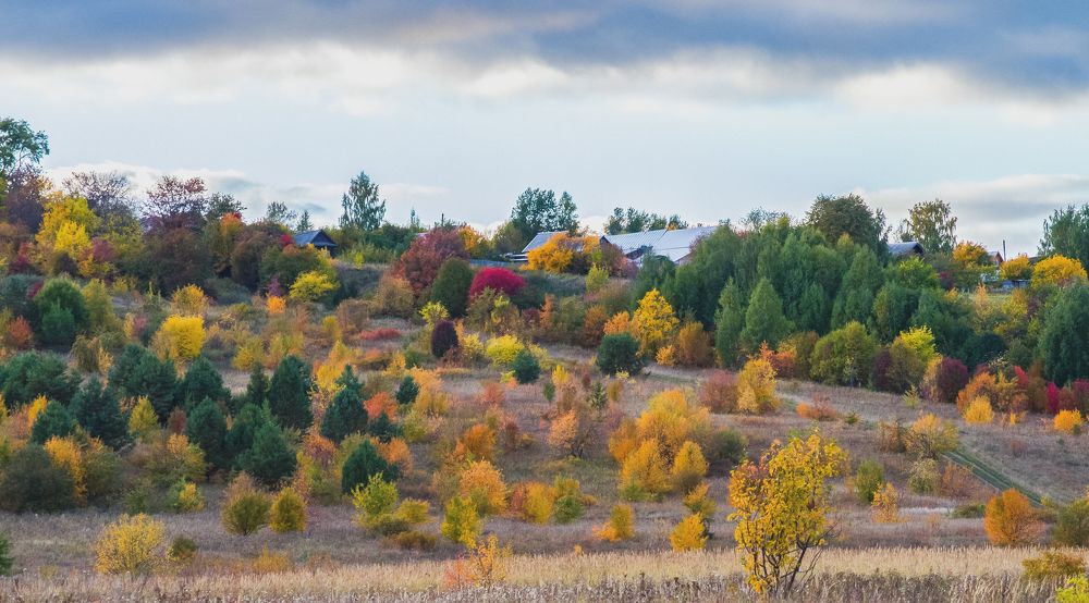 Photograph by Николай Путинцев