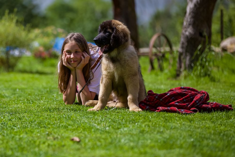 Photograph by Андрей Ларин