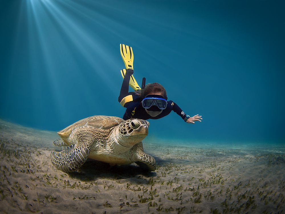 Photograph by Наталия Корзина