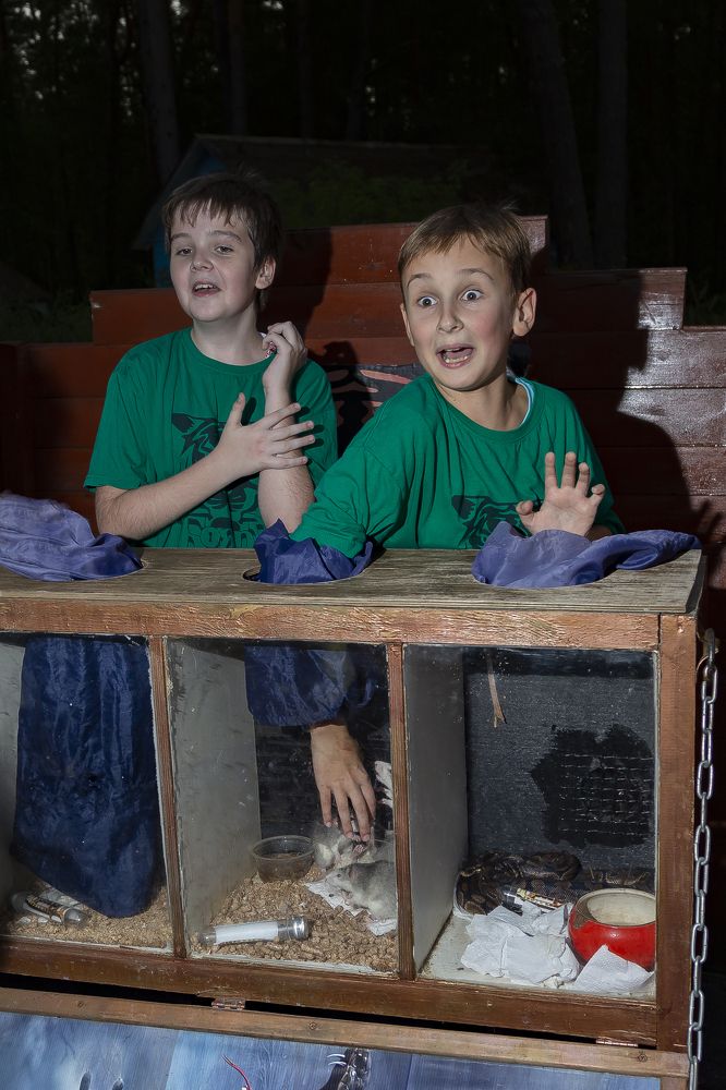 Photograph by Андрей Ларин