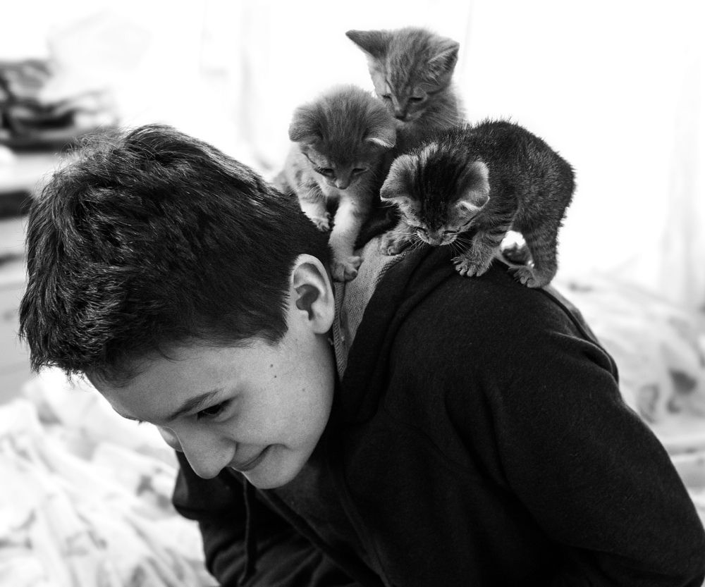 Three peas on my shoulder.