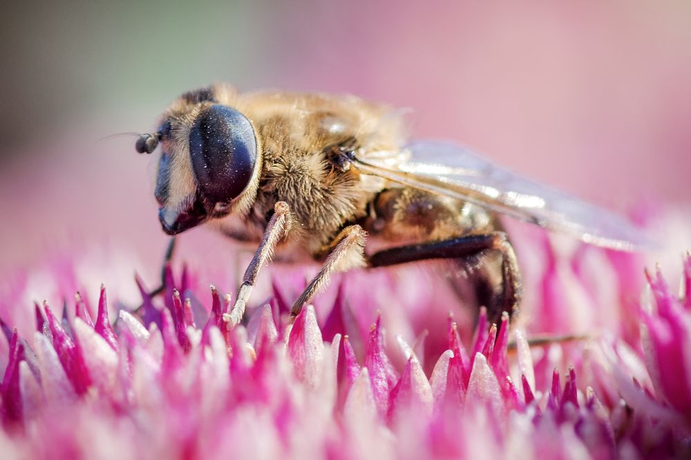 Photograph by Сергей Быченков