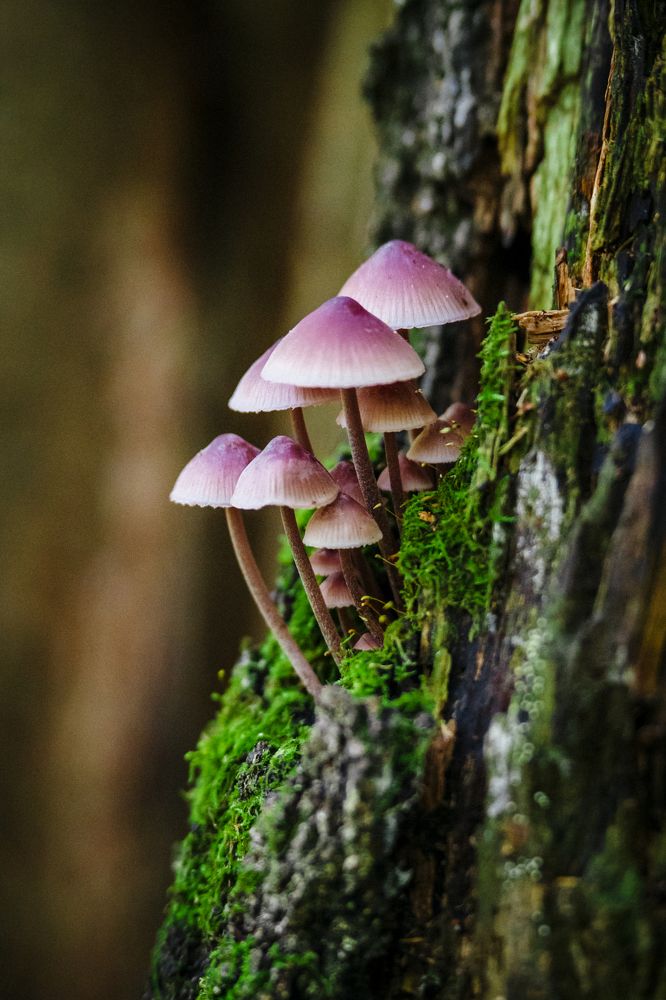 Photograph by Сергей Быченков