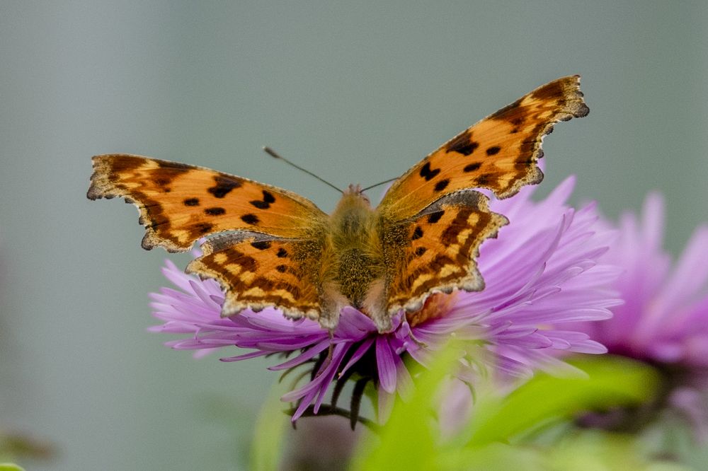 Photograph by Сергей Быченков