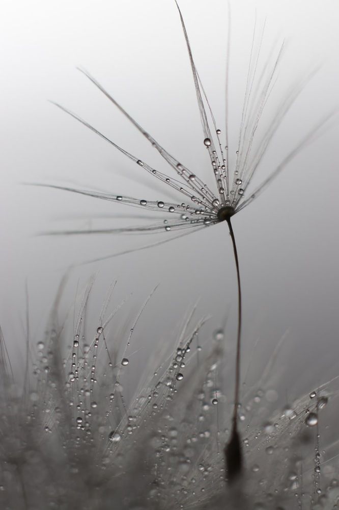 Photograph by Юлия Голубкова