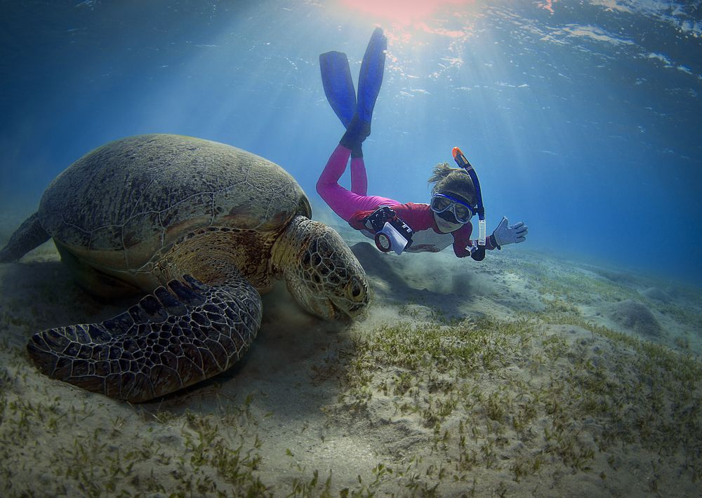 Photograph by Наталия Корзина