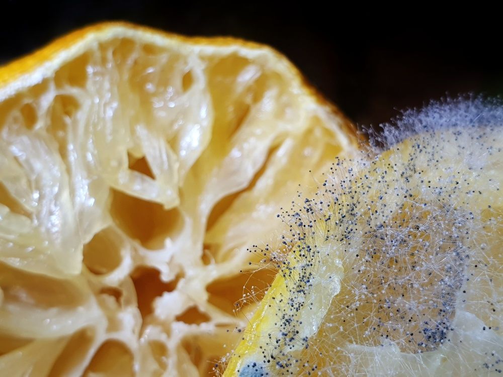 Photograph by Владимир Бакалов