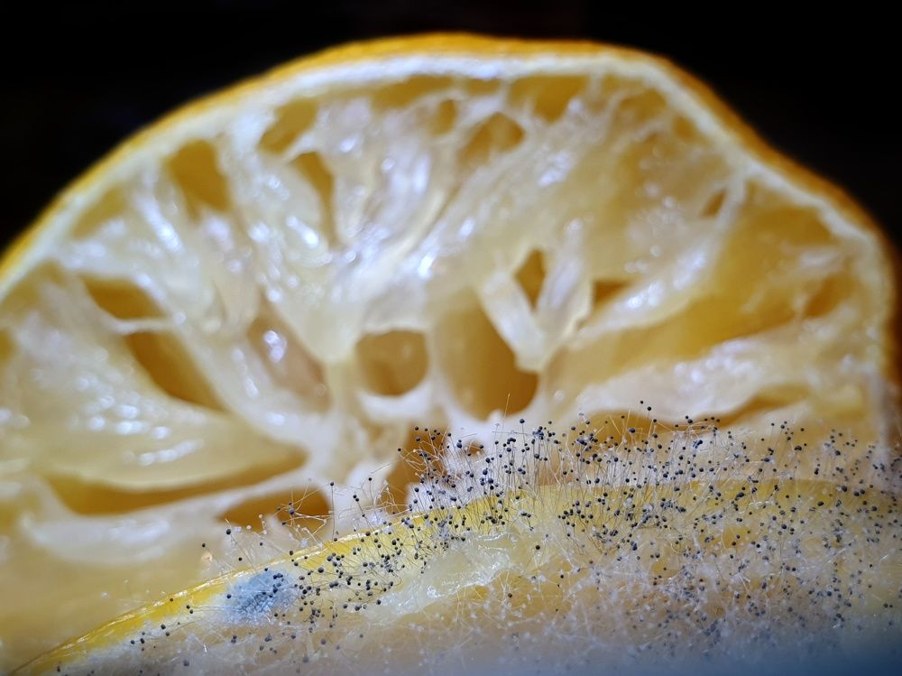 Photograph by Владимир Бакалов