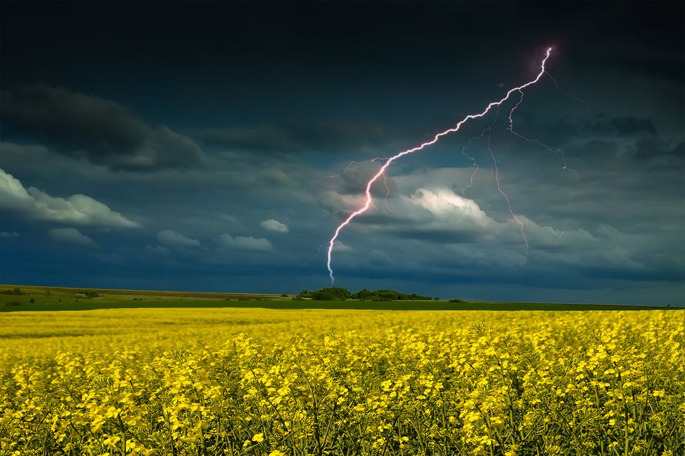 Photograph by Наталия Корзина