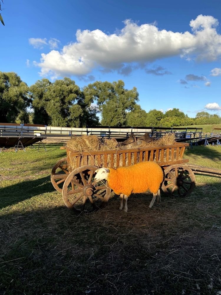 Photograph by Дмитрий