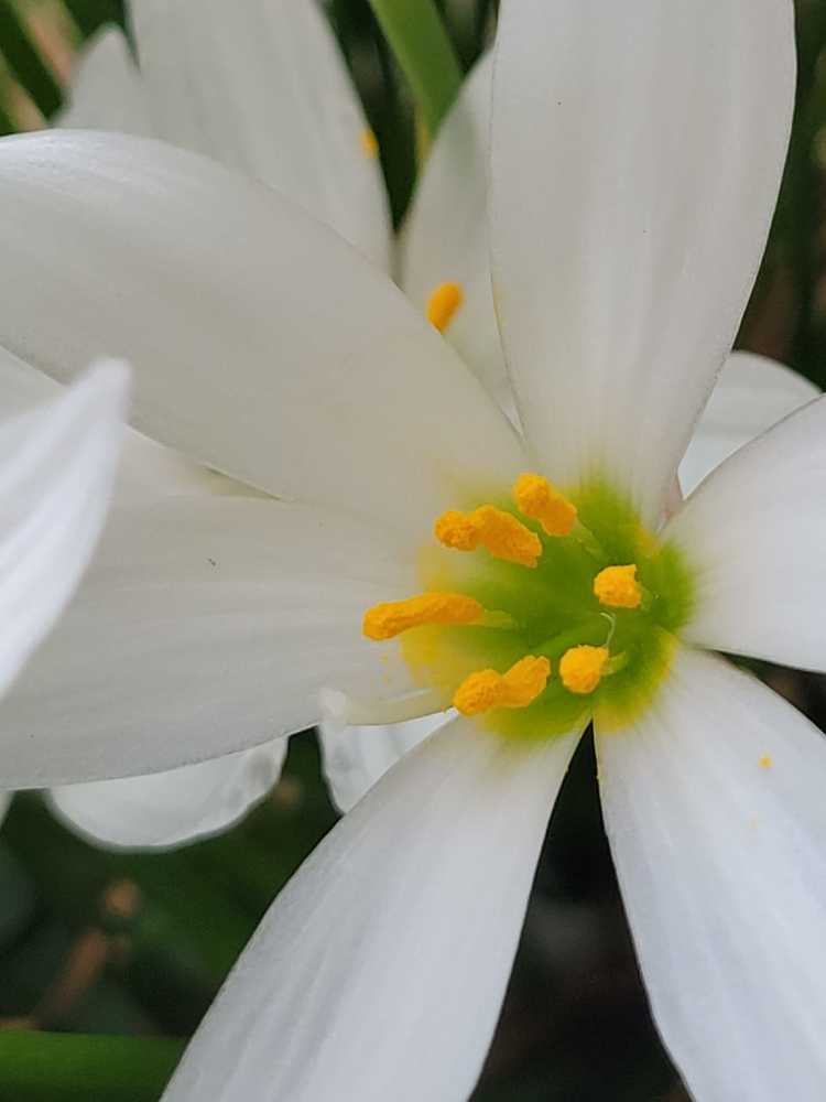 Photograph by Suzana Cakciri