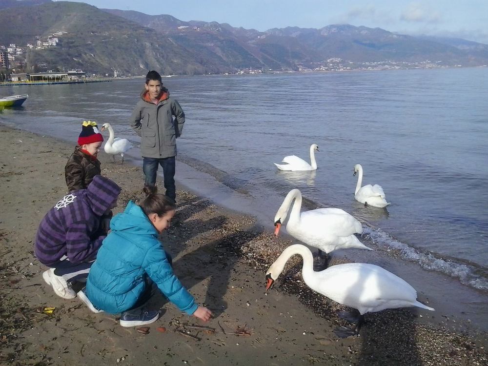 Photograph by Suzana Cakciri