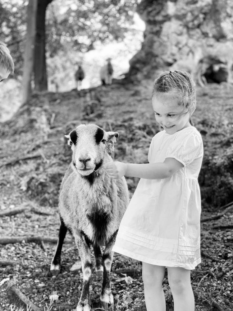 Photograph by Виктория Янушанис