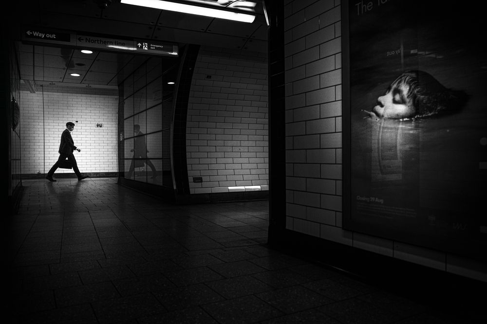 Photograph by Selaru Ovidiu