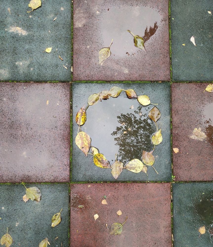 Photograph by Татьяна Аршинова