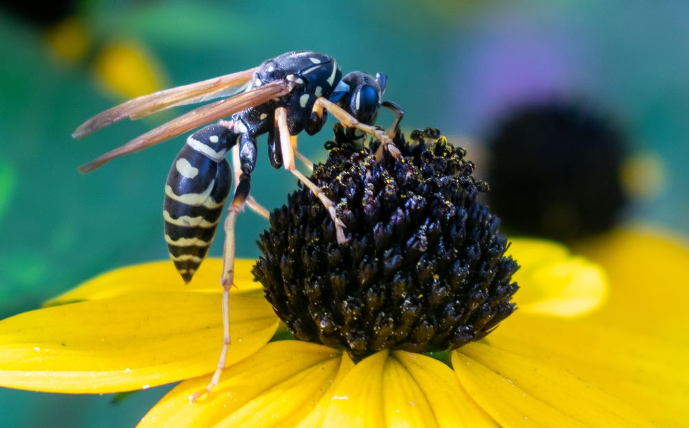 Photograph by Артём Буц