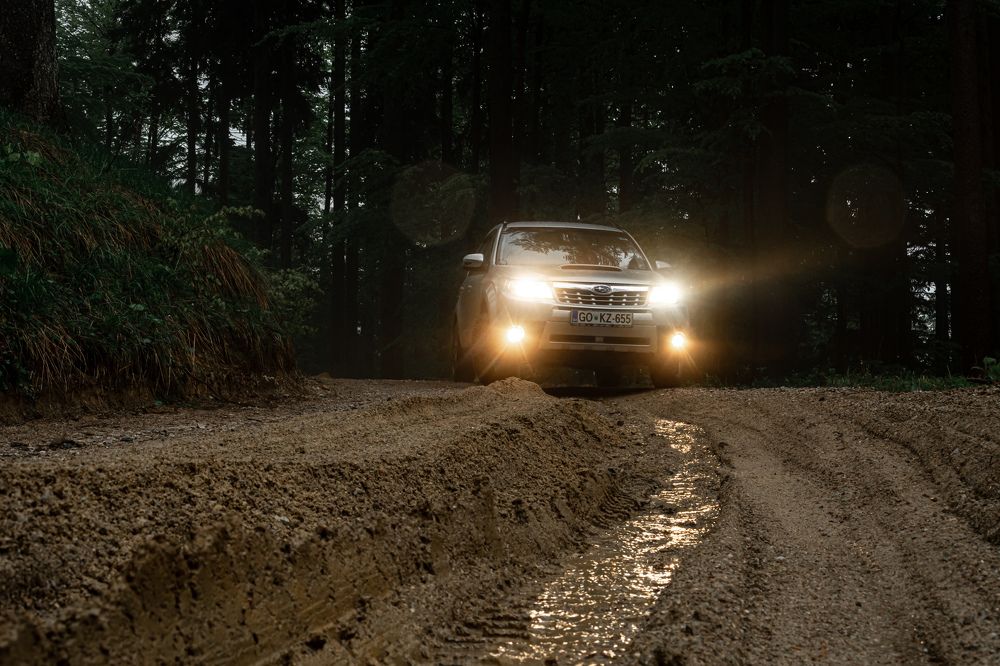 Photograph by Bine Mekina