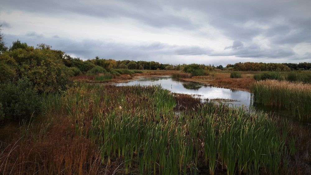 Photograph by Людмила Колеватова