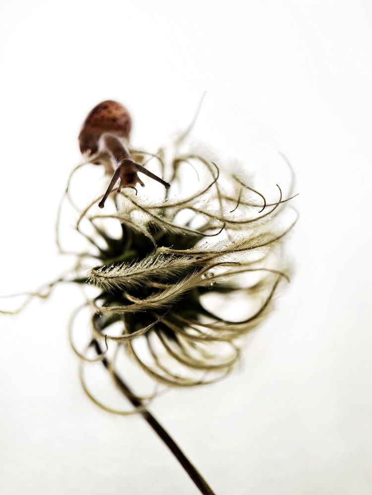 Photograph by Светлана Смирнова