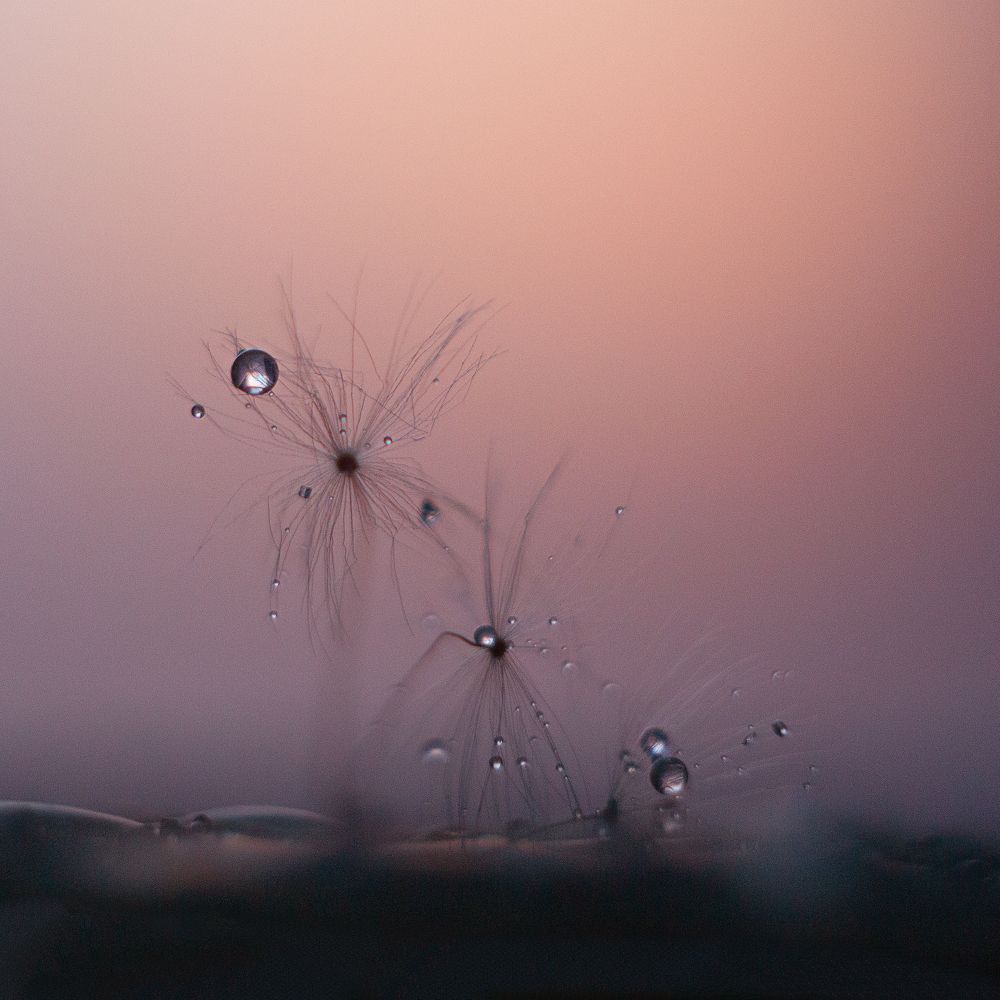 Photograph by Ирина Голомако