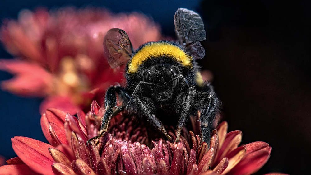 Photograph by Андрей Калинин