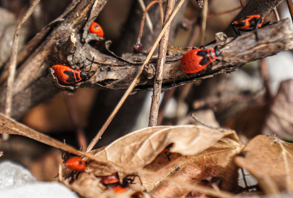 Photograph by Дарья Погонцева