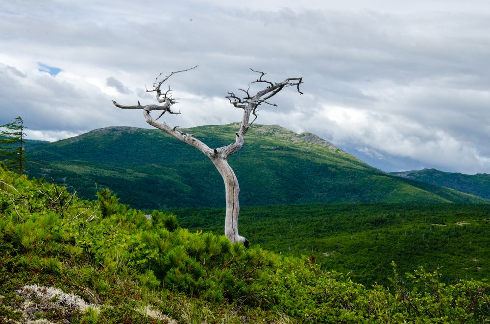 Photograph by Галина Проценко