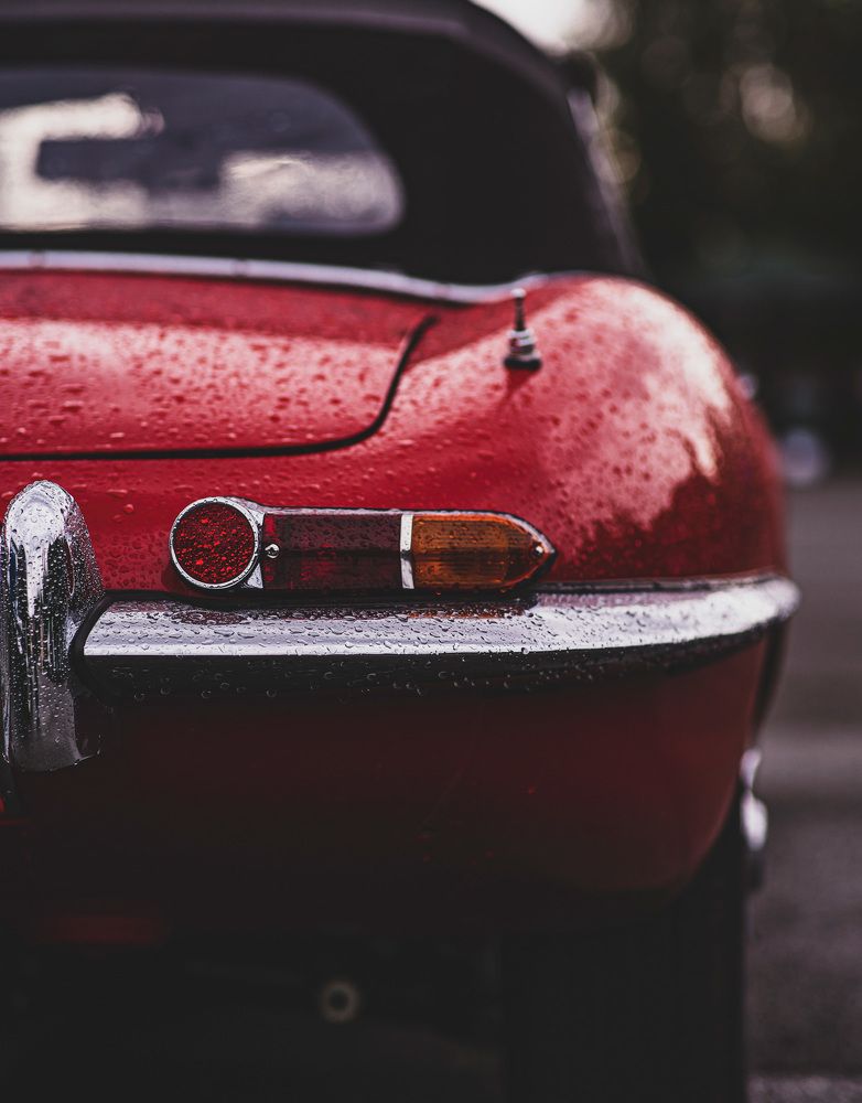 Фотография автора Александр Кременицкий