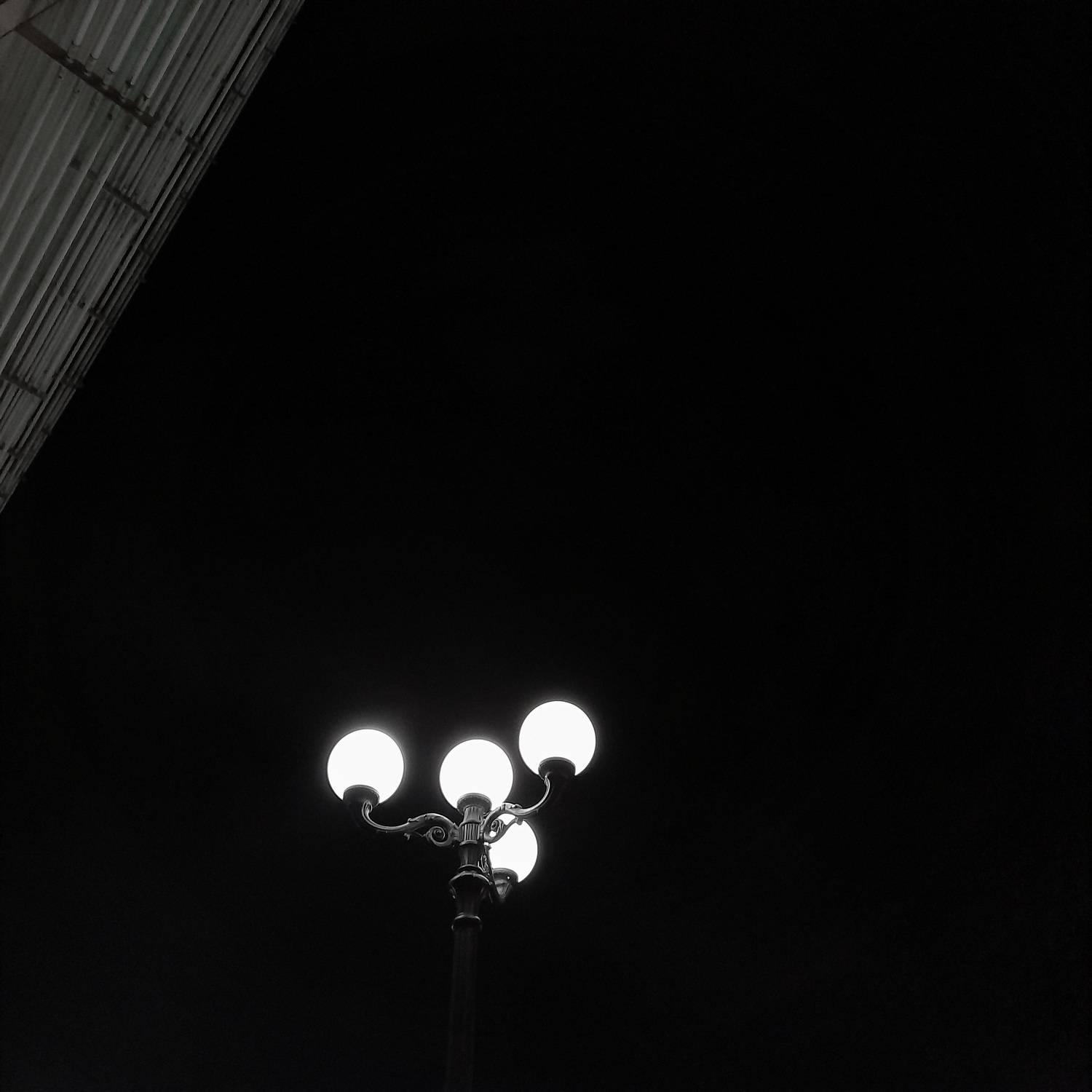 Photo #6516691