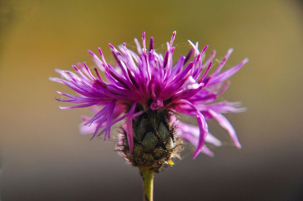 Photograph by Артём Шестаков