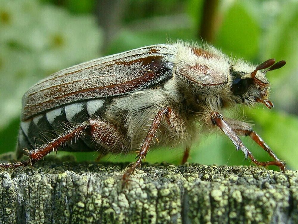 Фотография автора Павел Попов