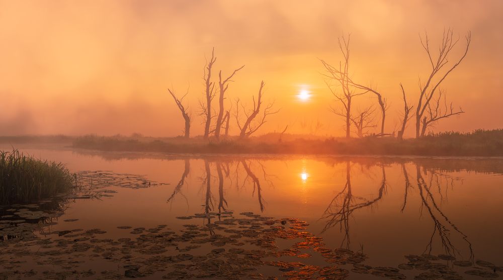 Photograph by Dariusz Budyta