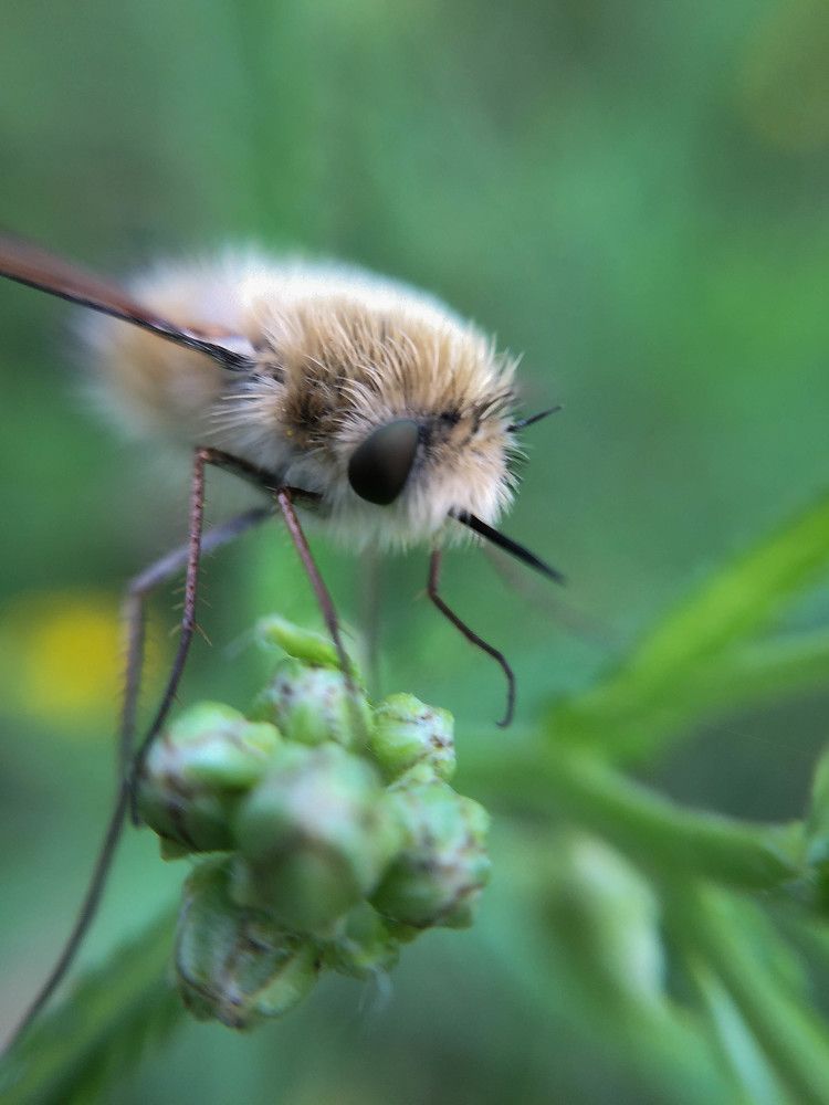 Photograph by Олег Волков