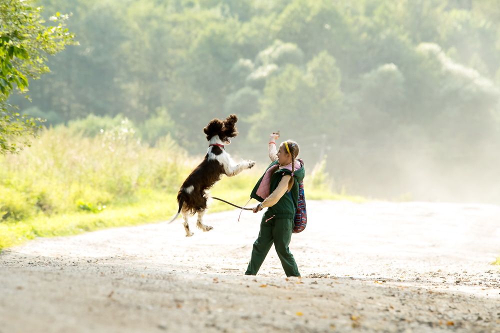 Радость летнего вечера