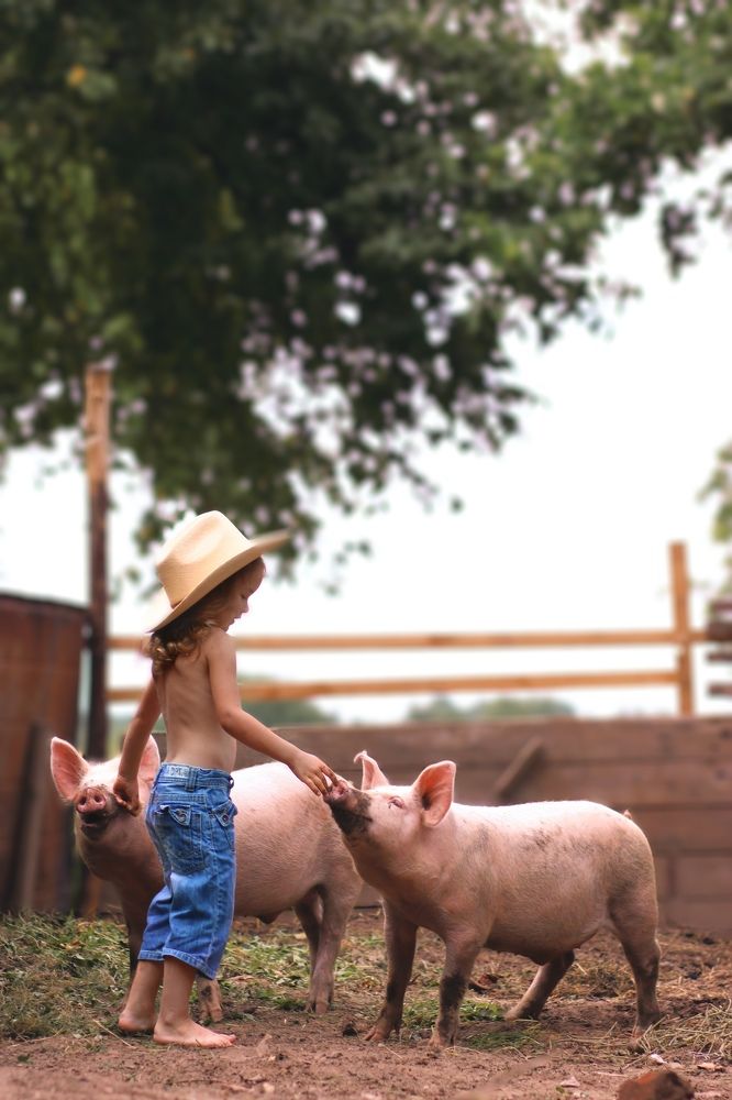 Photograph by Ольга Смачных