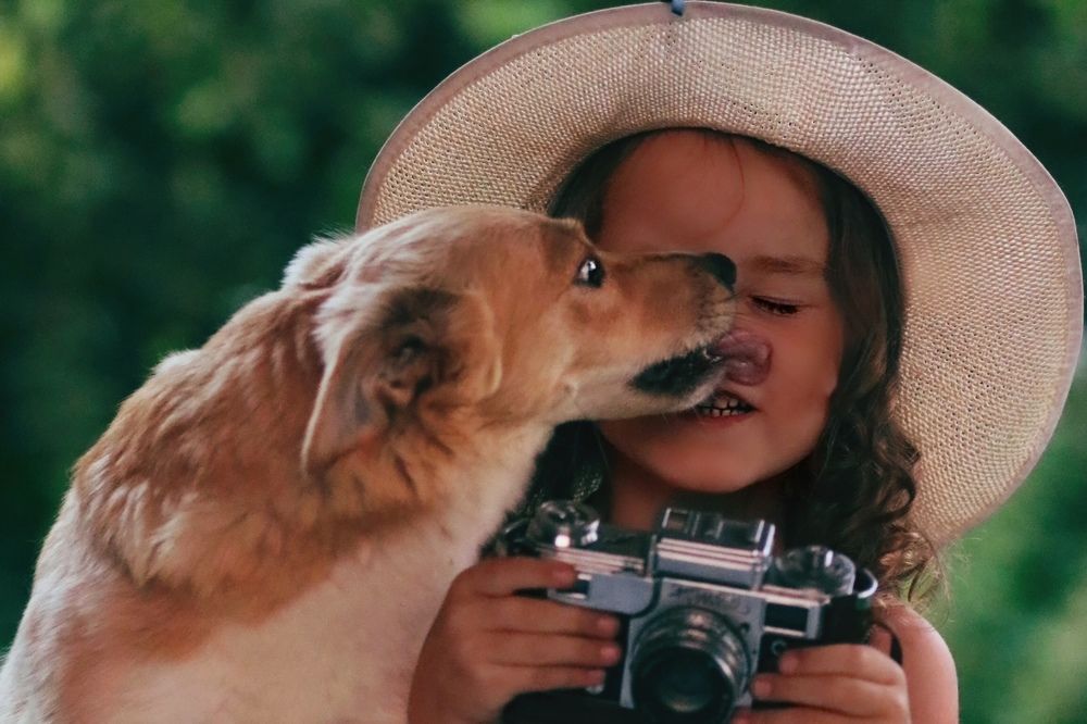 Photograph by Ольга Смачных