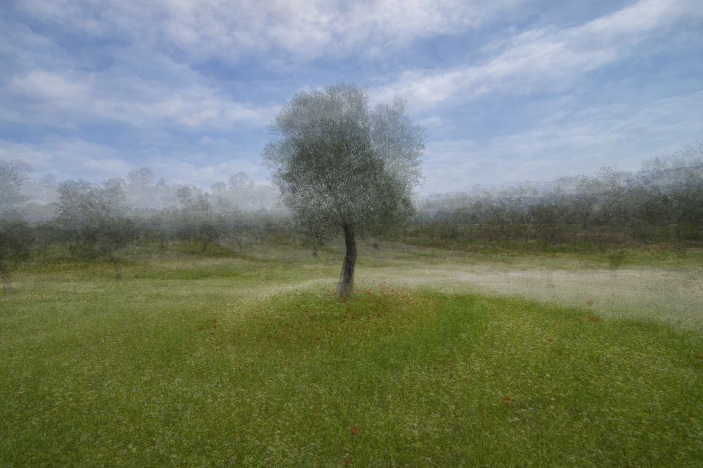 Photograph by mehmet enver karanfil