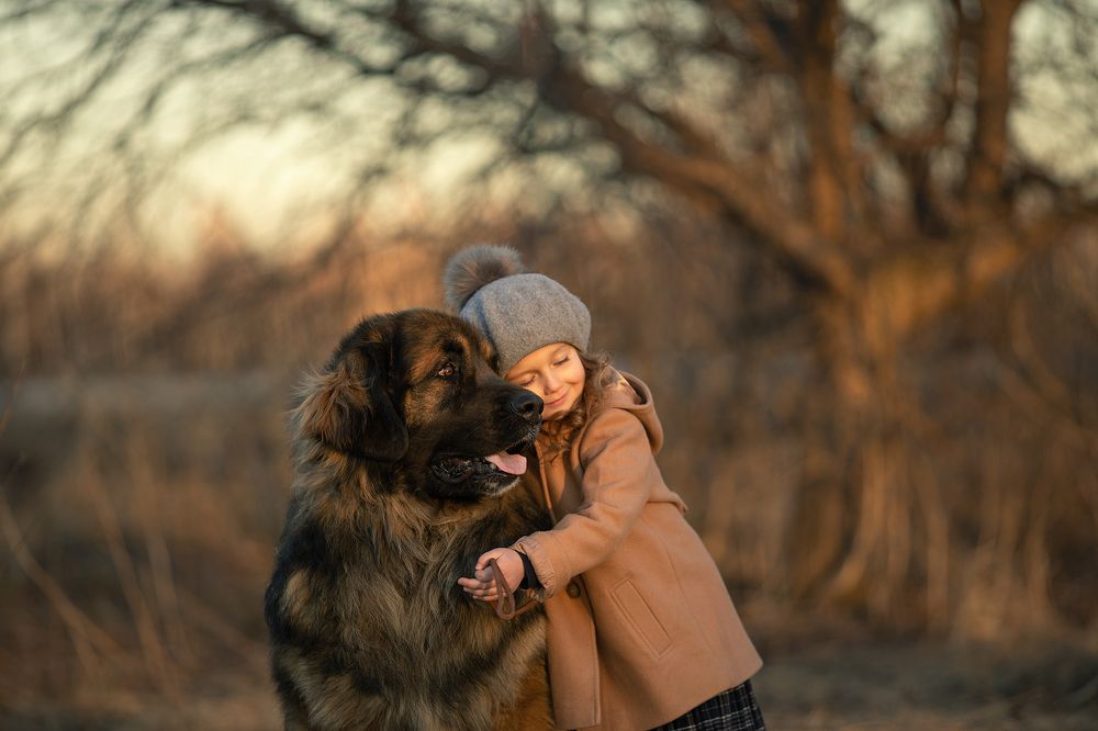 Photograph by Юлия Лоза